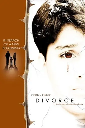 Divorce: Not Between Husband and Wife (2005)