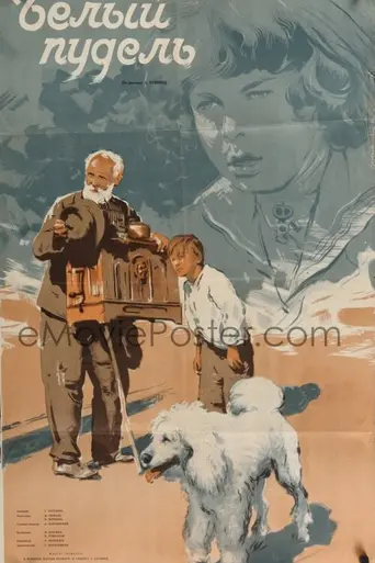 The White Poodle (1955)