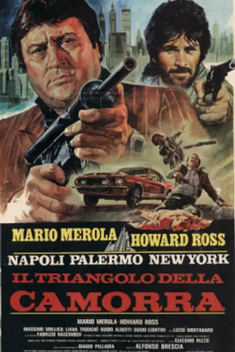 The Mafia Triangle (1981)