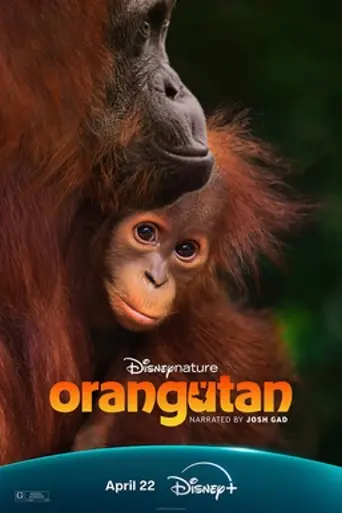 Orangutan (2026)