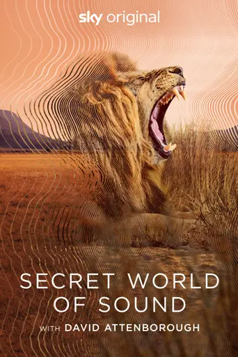 Secret World of Sound (2024)