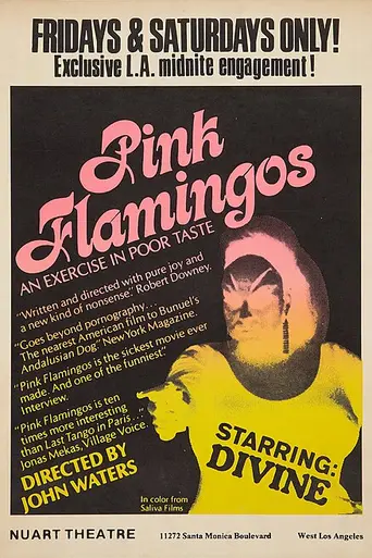 Розовые фламинго (1972)