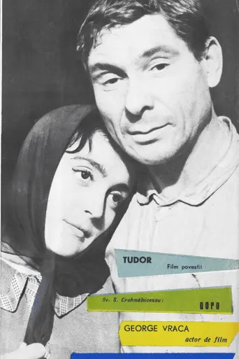 Lupeni 29 (1962)