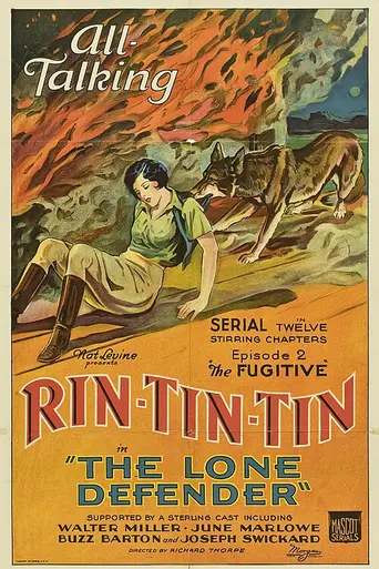 The Lone Defender (1930)