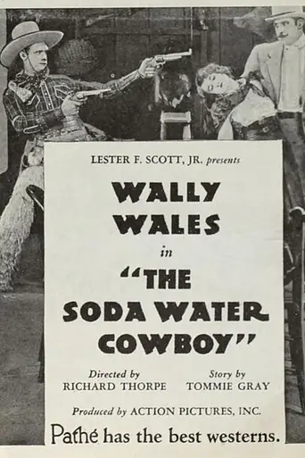 Soda Water Cowboy (1927)