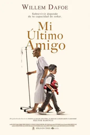 Mi amigo hindú (2016)