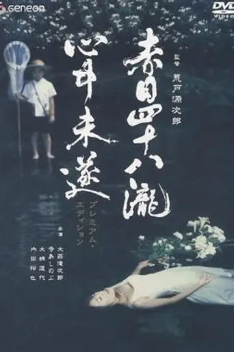 Akame 48 Waterfalls (2003)