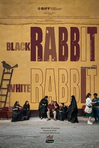 Black Rabbit, White Rabbit