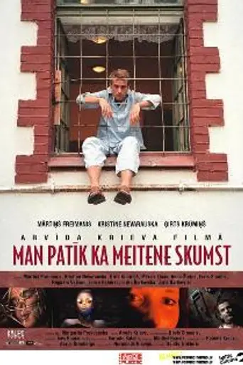 Man patīk, ka meitene skumst (2005)