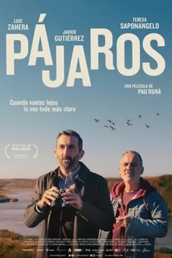Birds Flying East (2024)