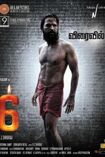 6 (2013)