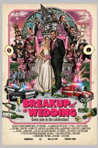 Breakup at a Wedding (2013)