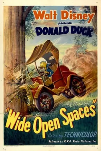 Wide Open Spaces (1947)