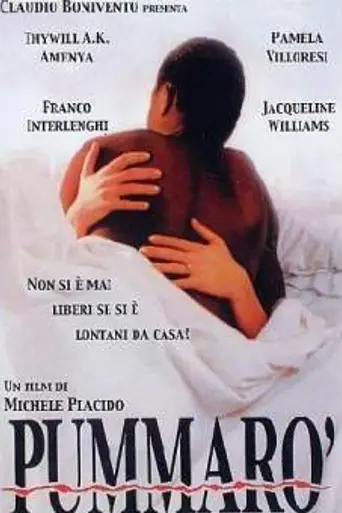Pummarò (1990)