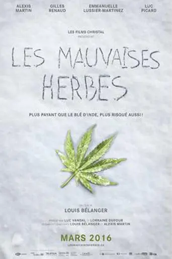La malas hierbas (2016)