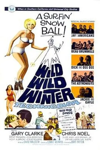 Wild Wild Winter (1966)