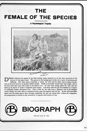 The Female of the Species (1912)