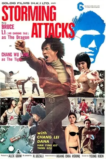 The Image of Bruce Lee (1978)