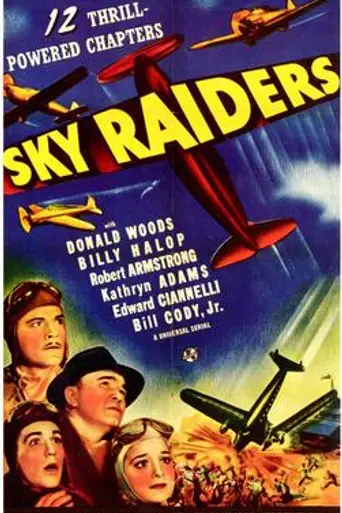 Sky Raiders (1941)