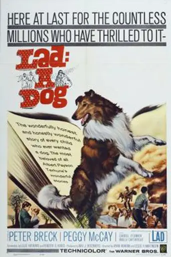 Lad, A Dog (1962)