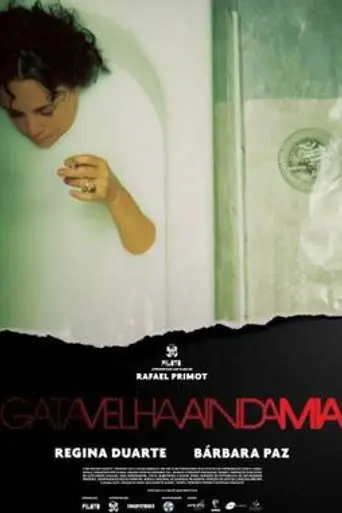 Gata Velha Ainda Mia (2013)