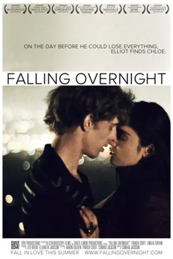 Falling Overnight (2011)