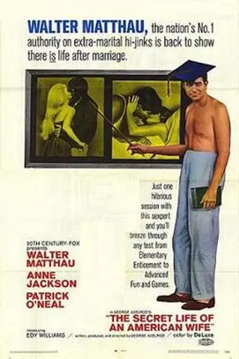 The Secret Life of an American Wife (1968)