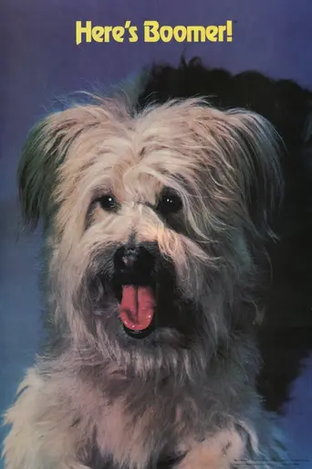 Here's Boomer (1980)