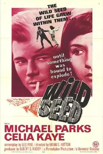 Wild Seed (1965)