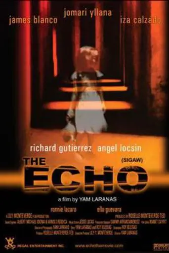 The Echo (2004)
