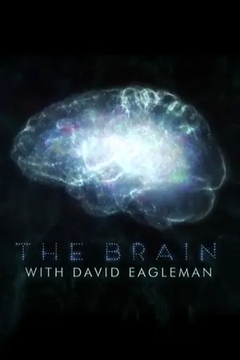 The Brain with David Eagleman (2015)