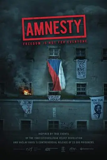 Amnesty (2019)