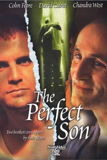 The Perfect Son (2000)