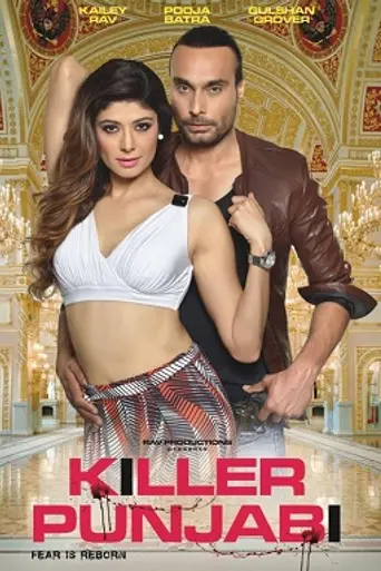 Killer Punjabi (2016)
