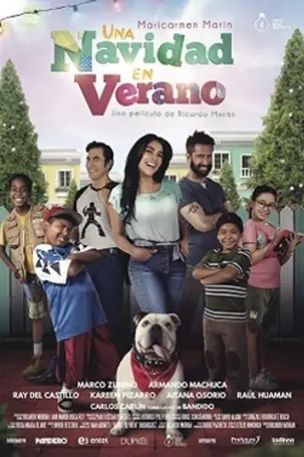 A Christmas in summer (2017)