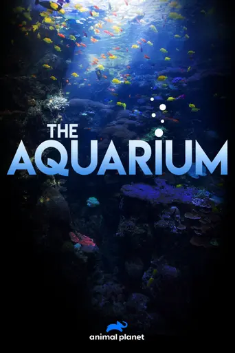 Aquarium (1974)