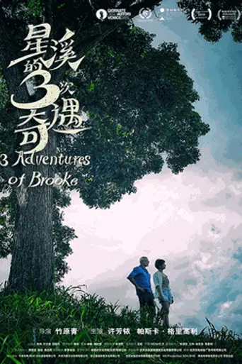 Three Adventures of Brooke (2018)