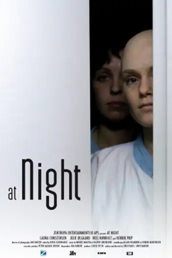 In the Night (2007)