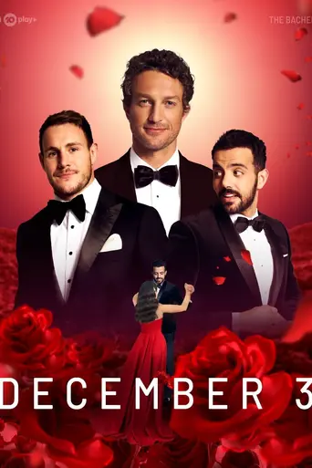 The Bachelor (2013)