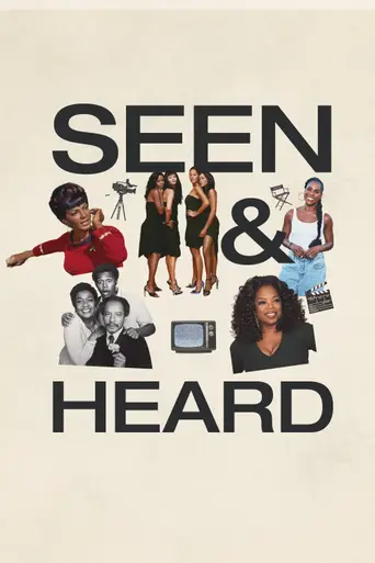 Seen & Heard: The History of Black Television (2025)