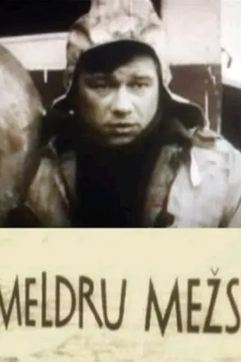 Meldru mežs (1971)