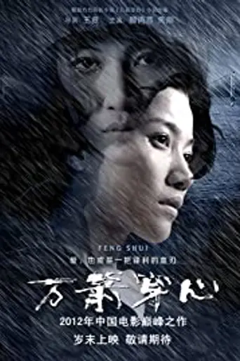 Feng Shui (2012)