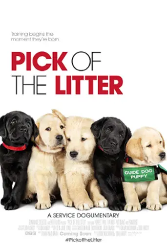 Pick of the Litter (2018)