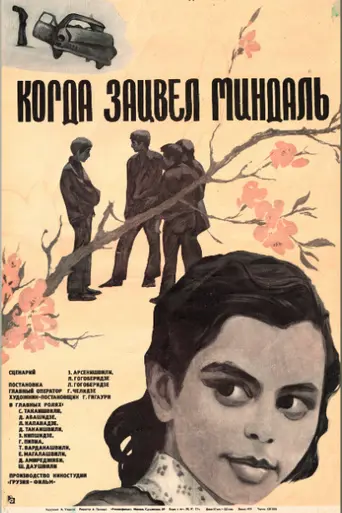 როცა აყვავდა ნუში (1972)