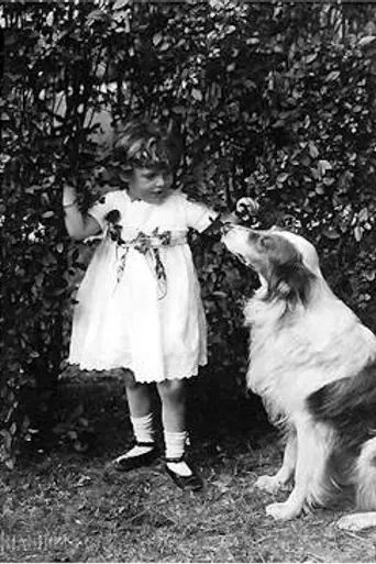 A Dog's Love (1914)