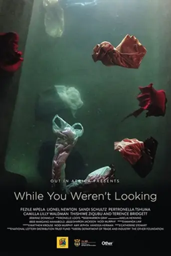 While You Weren't Looking (2015)