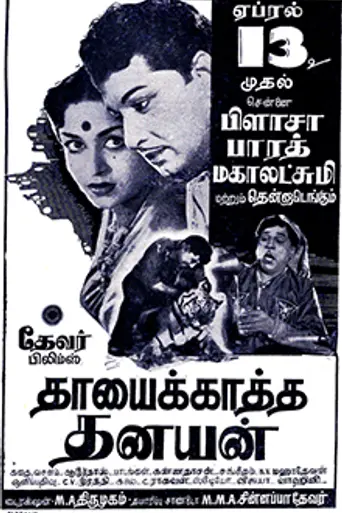 Thaayai Kaatha Thanayan (1962)