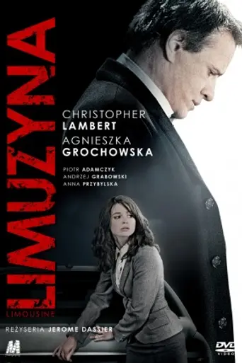Limousine (2012)