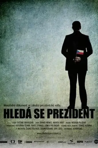 President Wanted (2013)