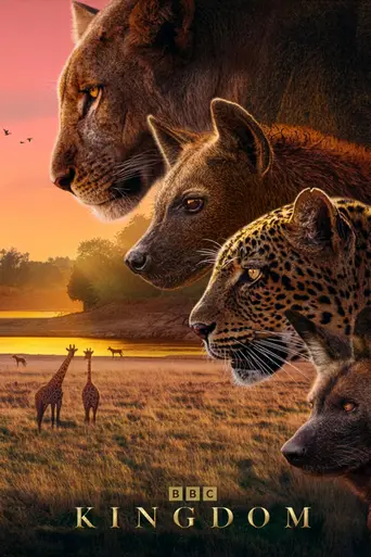 Kingdom (2025)
